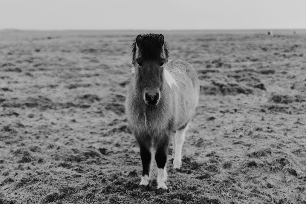 1515-daily-bible-verse