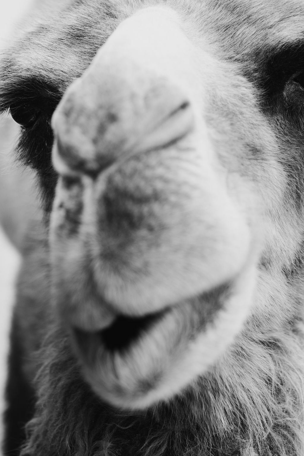 1519-daily-bible-verse