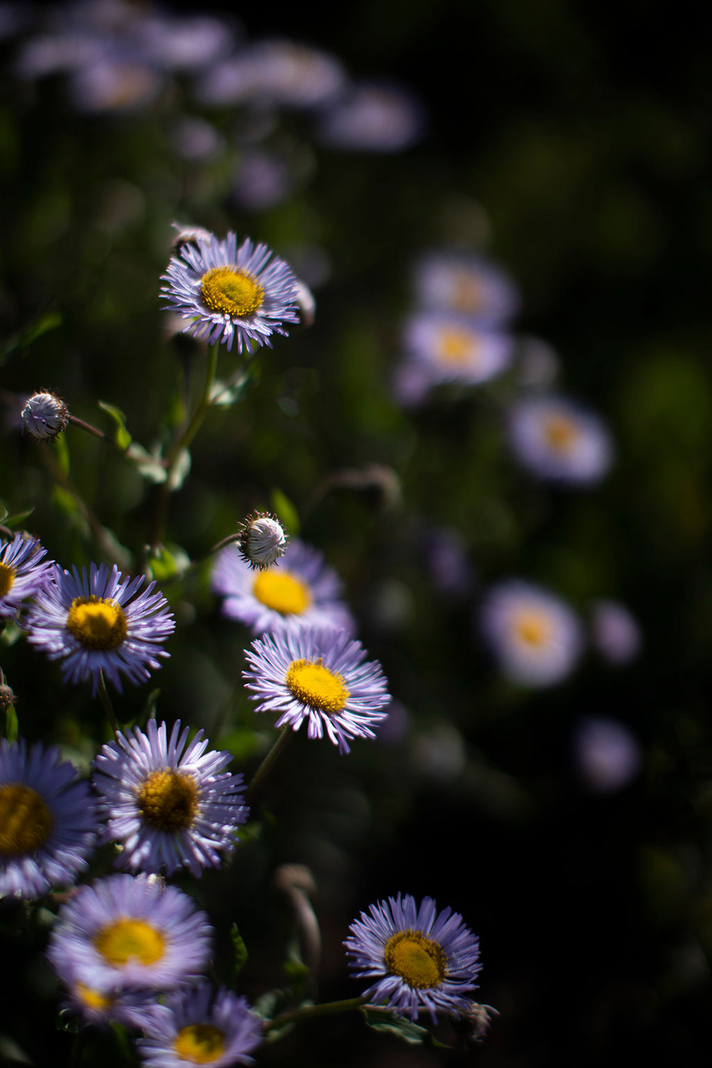 1522-daily-bible-verse