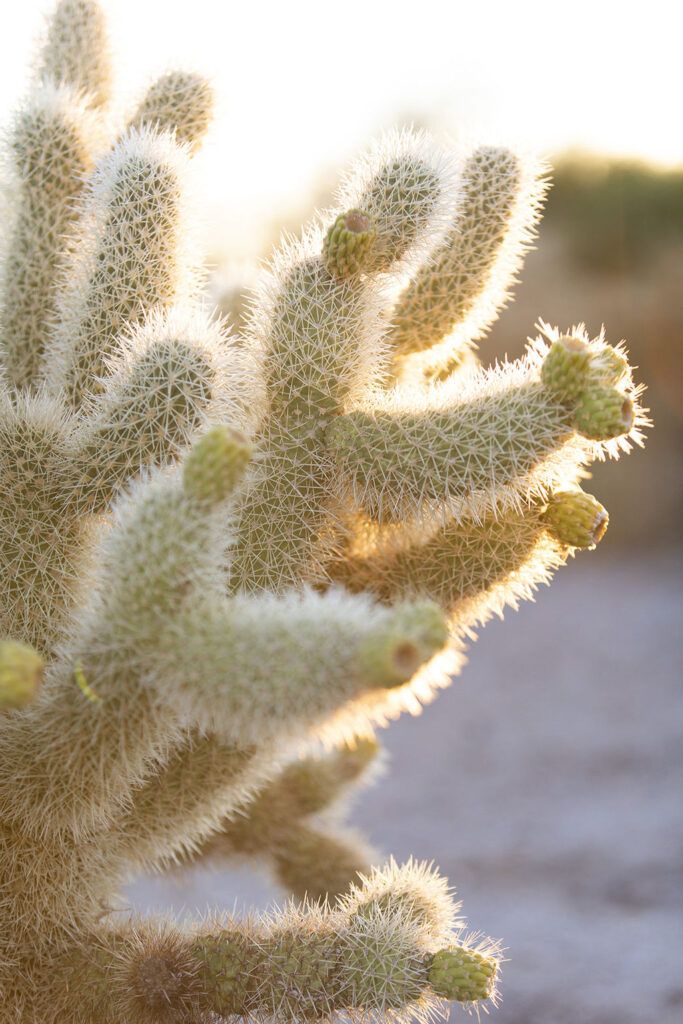 1523-daily-bible-verse