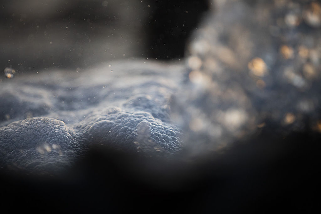 1524-daily-bible-verse