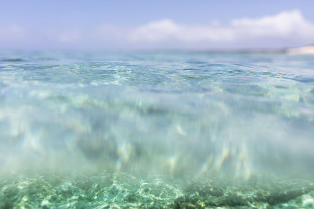 1528-daily-bible-verse