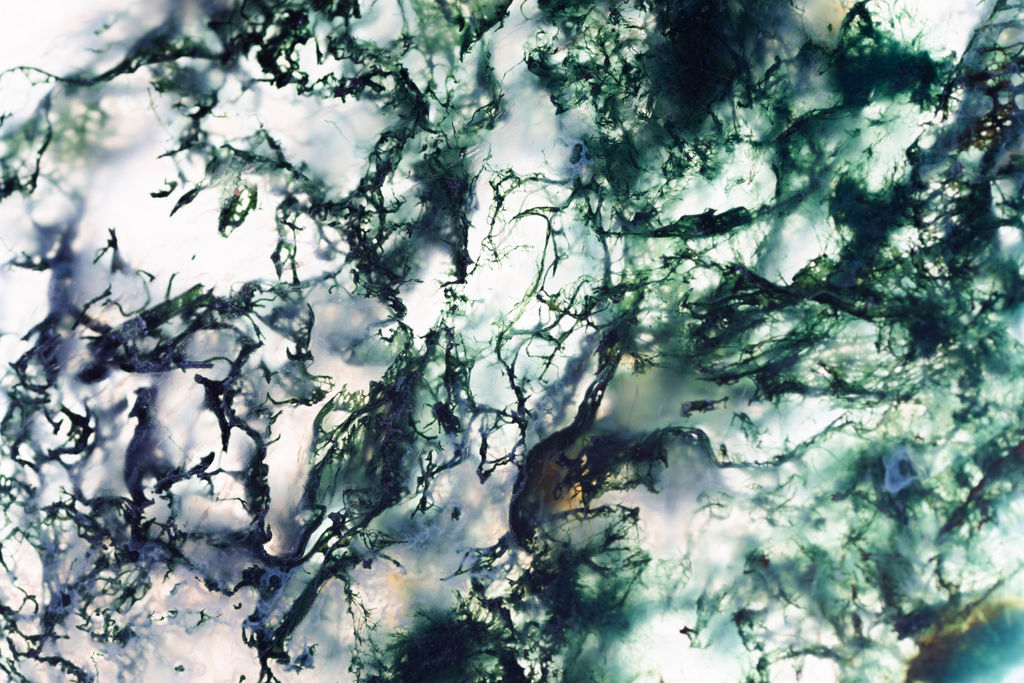 1533-daily-bible-verse