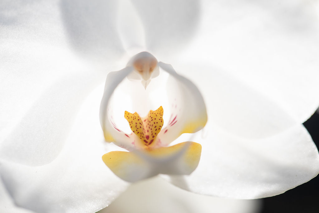 1527-daily-bible-verse